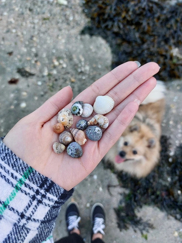 Image ajoutée par Caroline