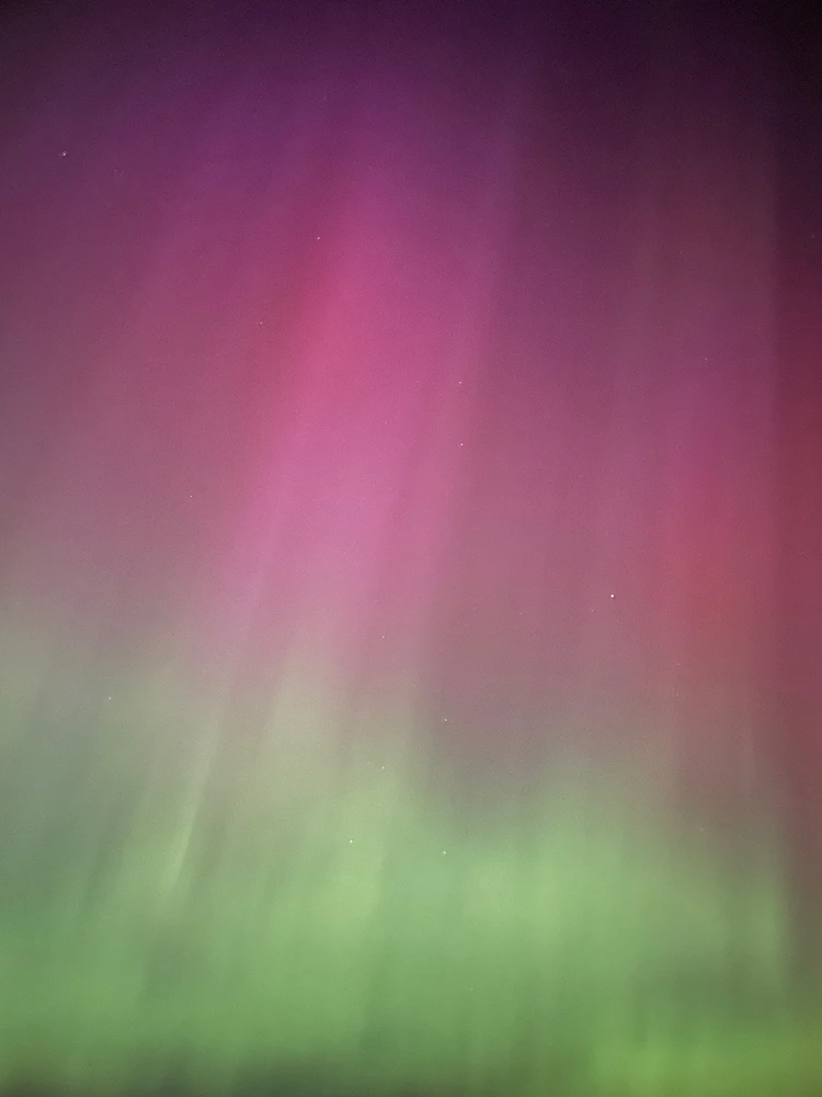 Image uploaded by Meg