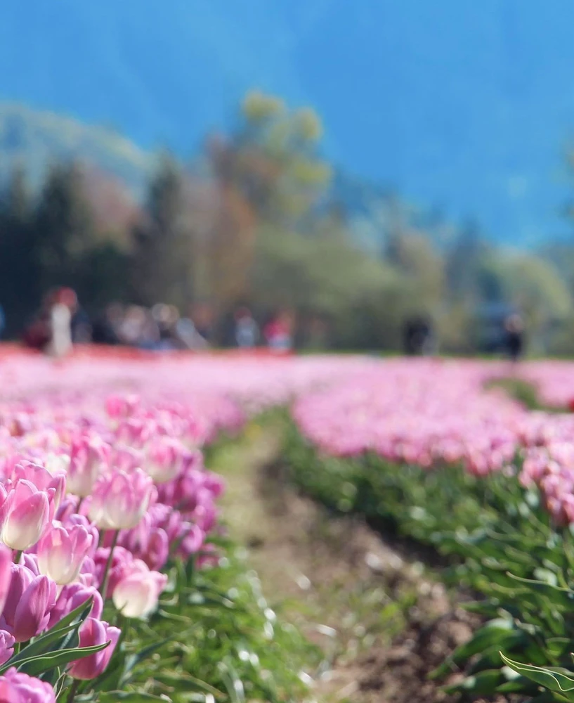 Image uploaded by Aunkon