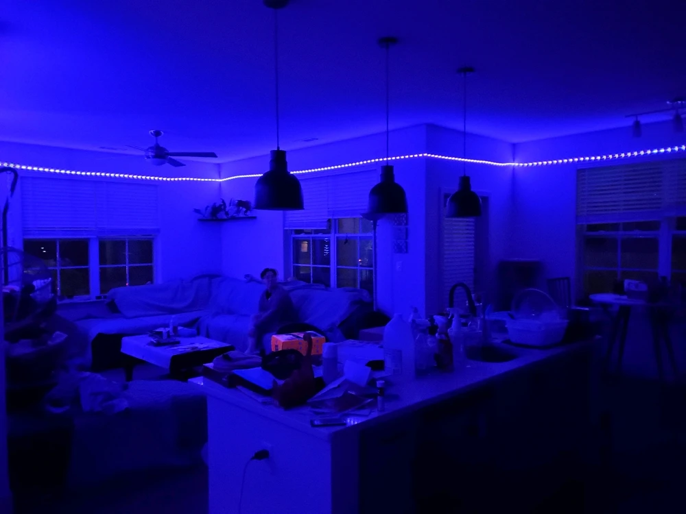 Image uploaded by BC