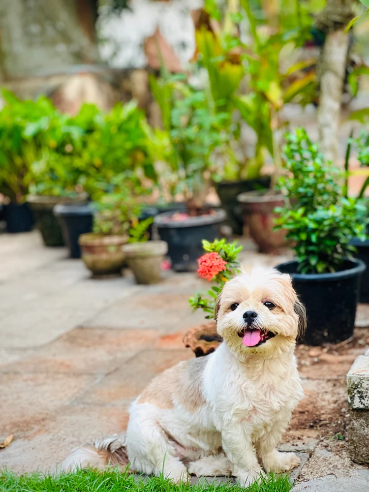 Jubin അപ്ലോഡ് ചെയ്ത ചിത്രം