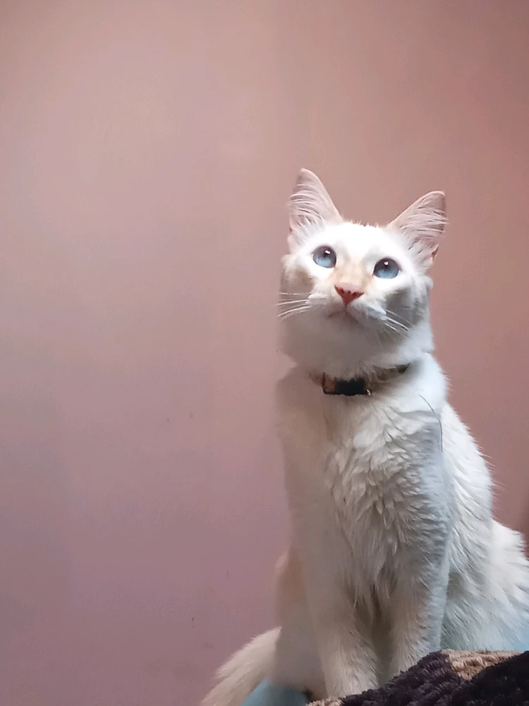 Imagem enviada por Miguel