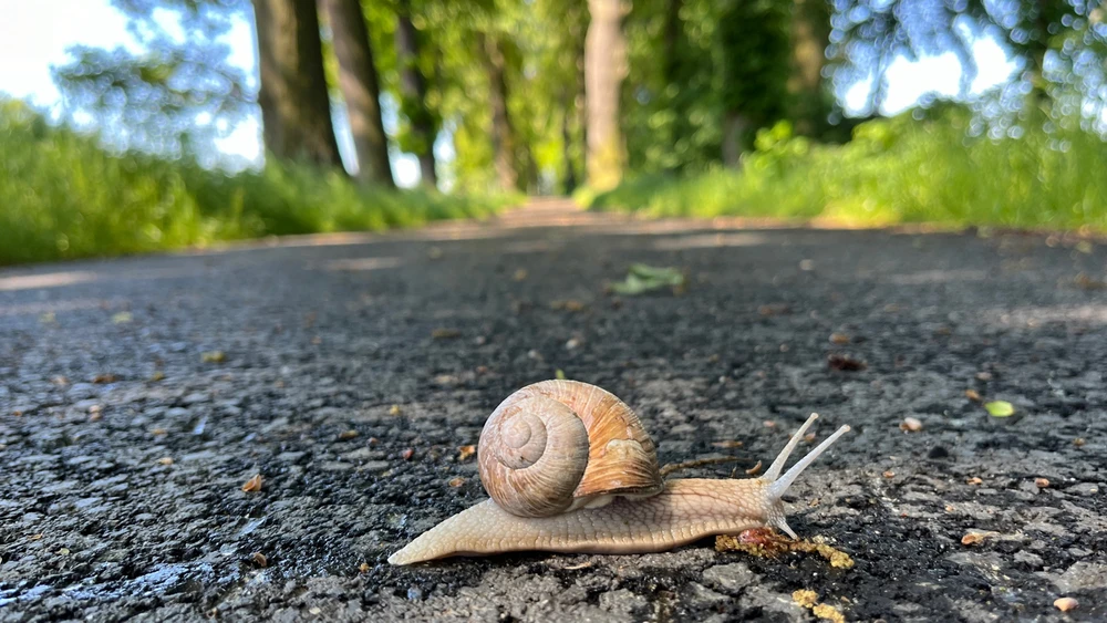 Zdjęcie dodane przez Michal