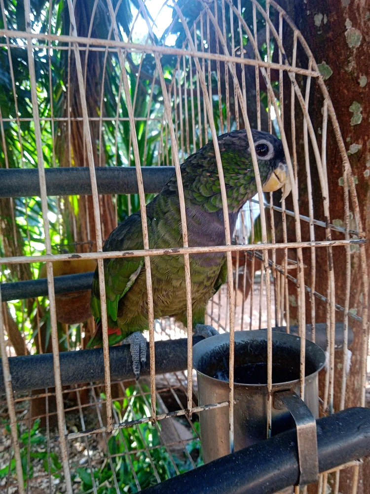 Imagem enviada por Maria