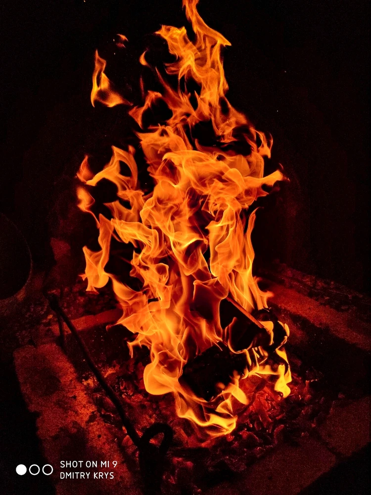 Фото загрузил 🌠 Dmitry 🌌