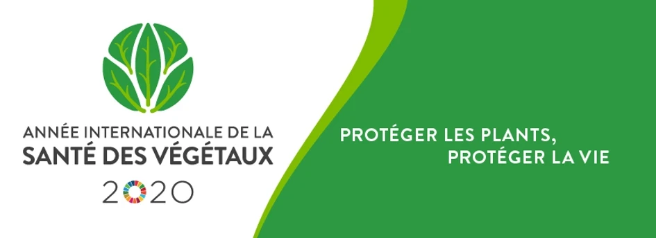 Image ajoutée par Hamdi