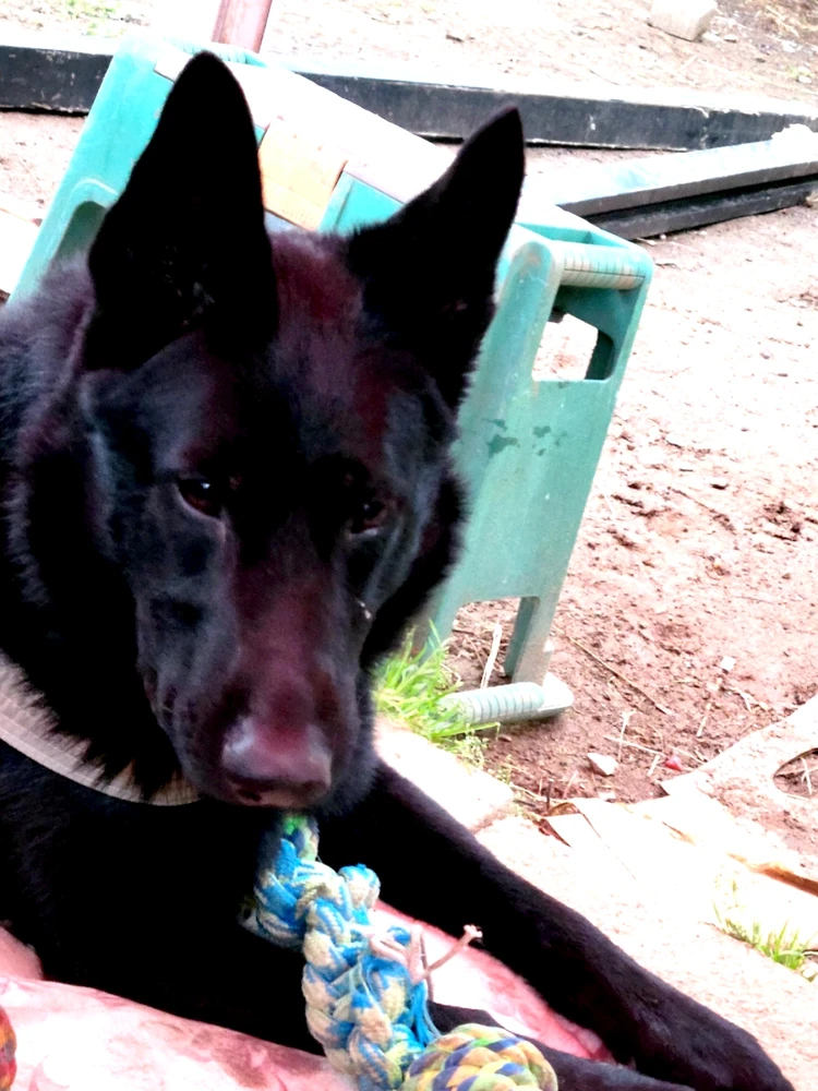 Image uploaded by HF RIOUX