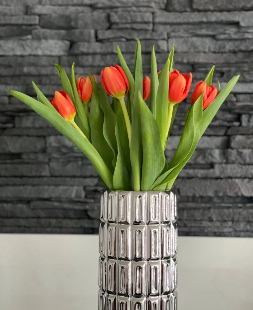 Obrázek nahrál Denisa