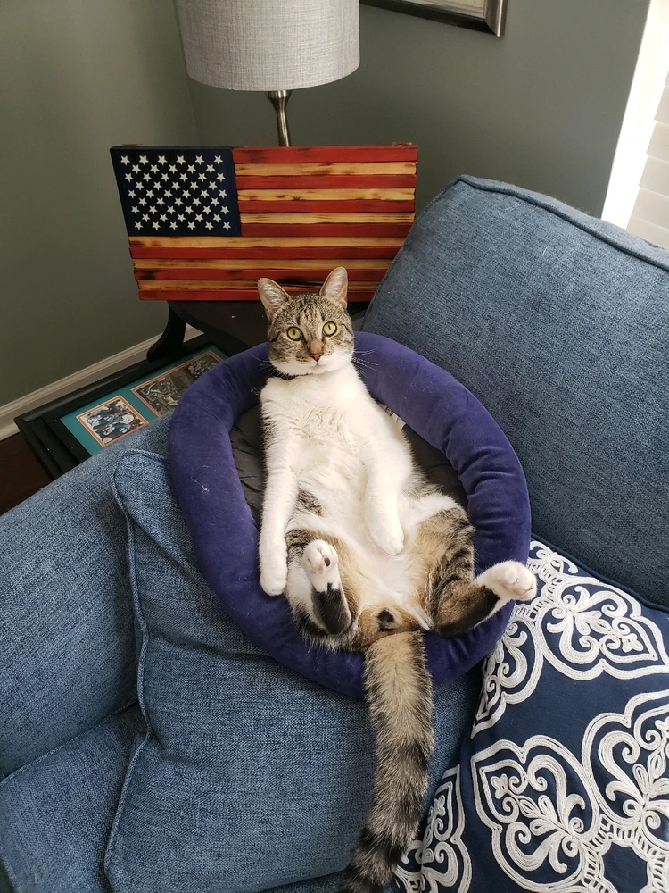 Image uploaded by Timothy