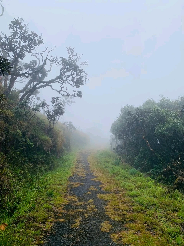 Image uploaded by Peony