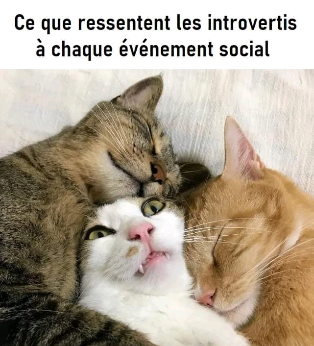 Image ajoutée par Maureen