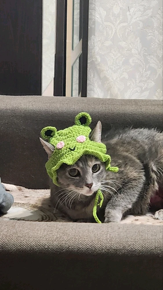 Фото загрузил アンジェリカ