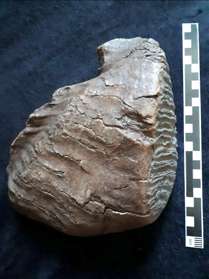 Bild hochgeladen von Herbert = ᚺᛖᚱᛒᛖᚱᛏ