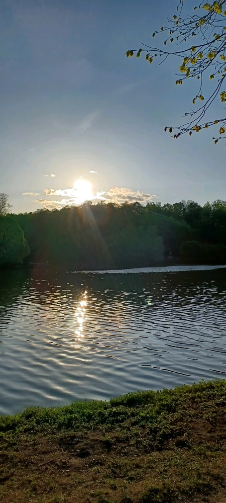 Orekovo park