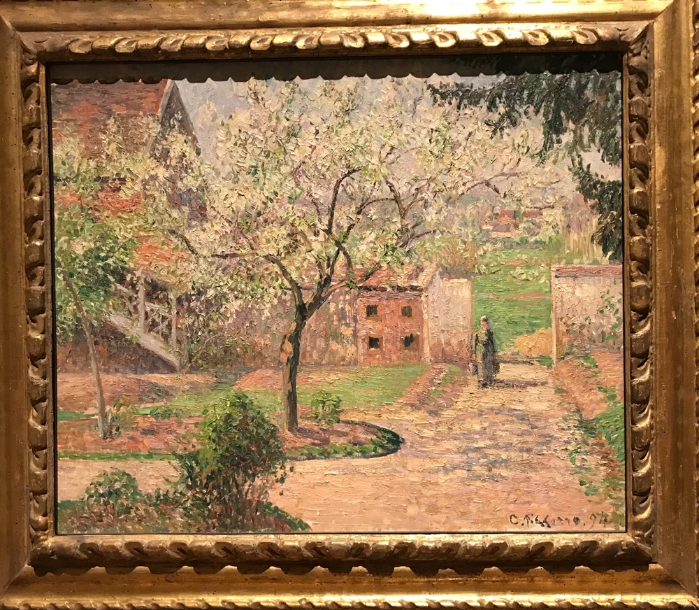 Obrázek nahrál Ifka 🌸