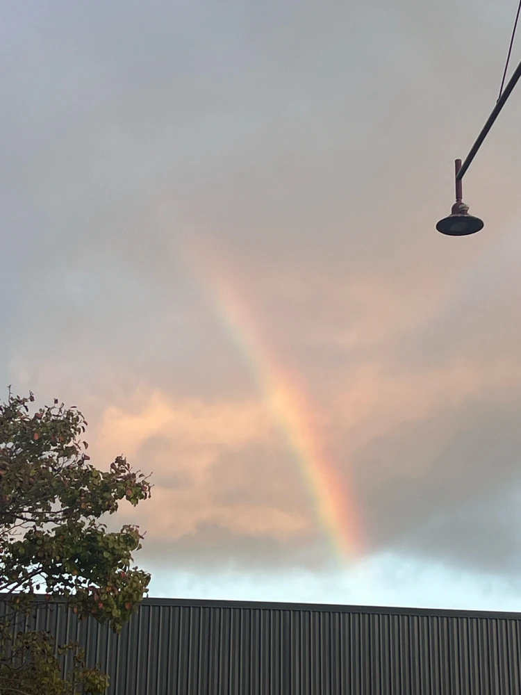 Image uploaded by Shan