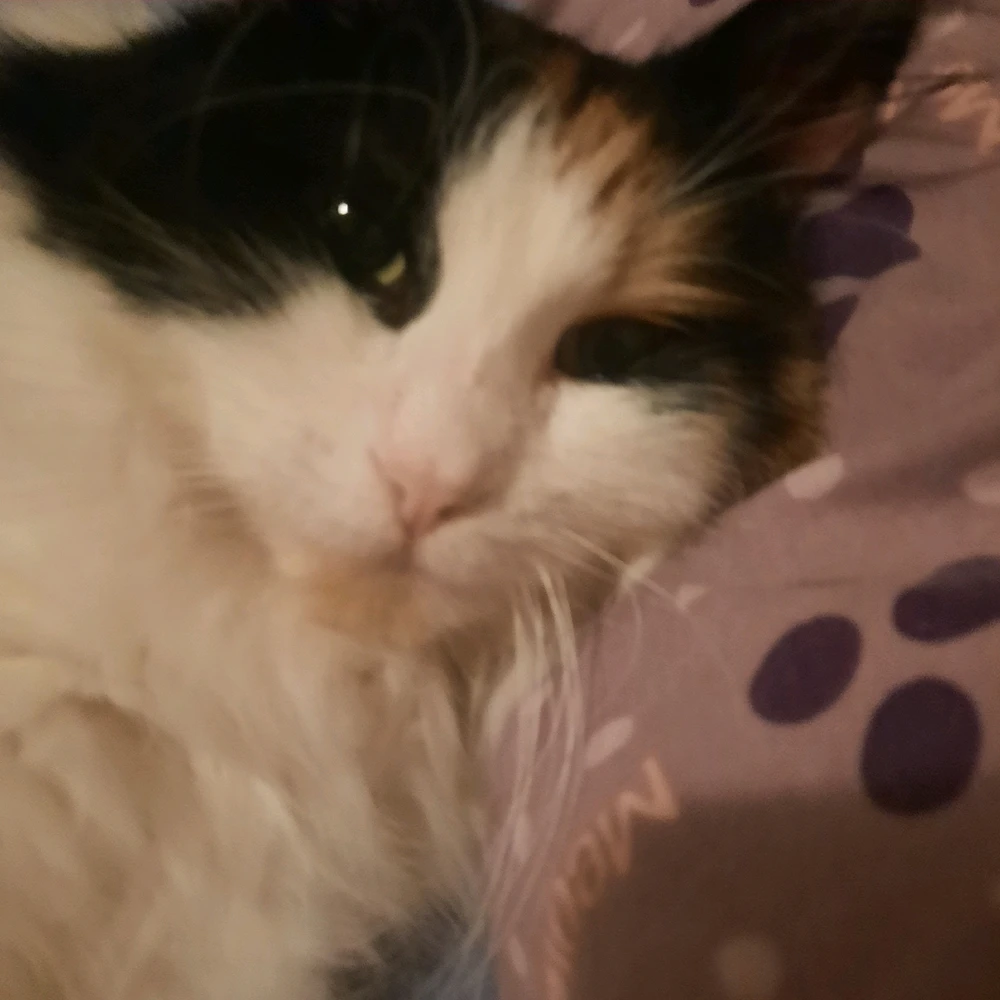 Image uploaded by Sage