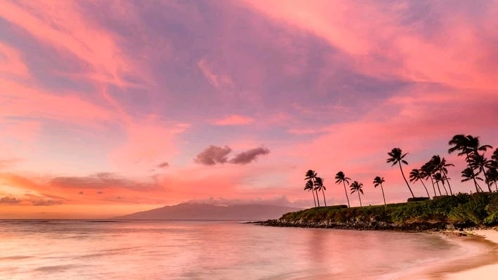 Image uploaded by Alexis