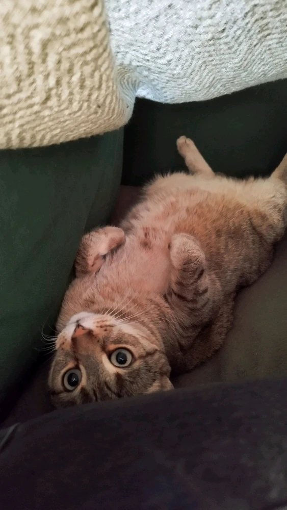 Zdjęcie dodane przez Zofia Bo-tak!