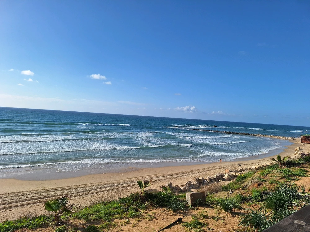 Beauty of Israel