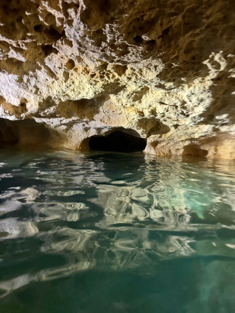 Image uploaded by Nicole