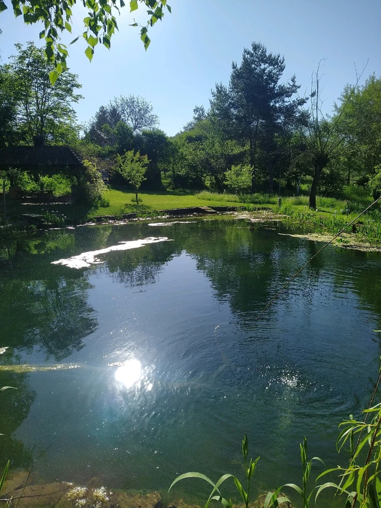 Obrázek nahrál Mates