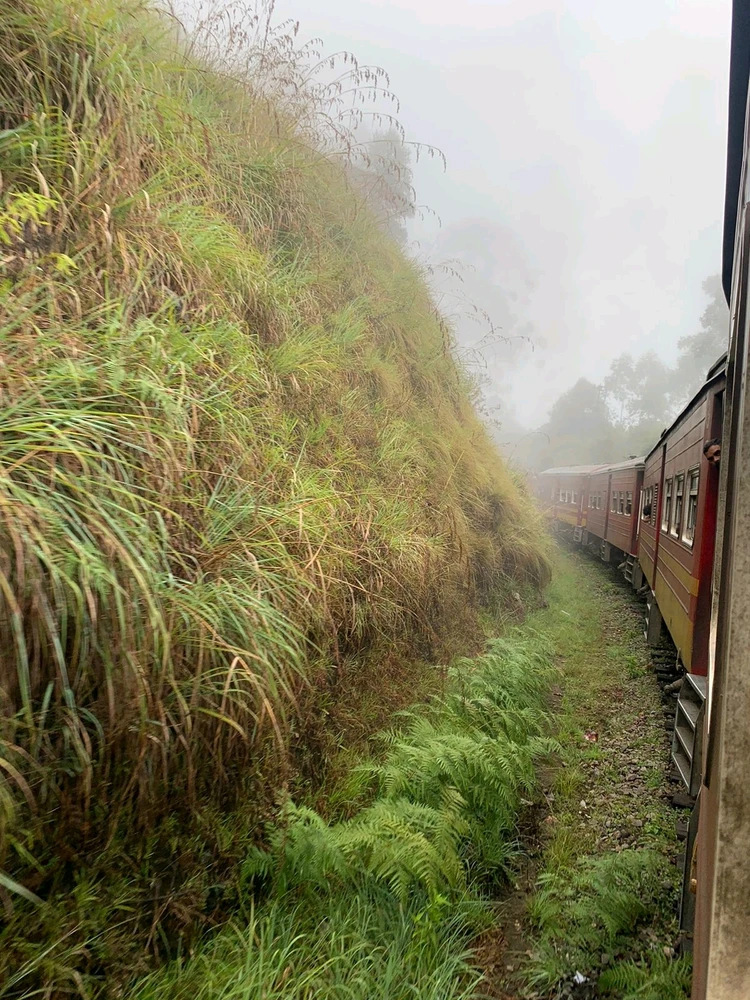 Image uploaded by Peony