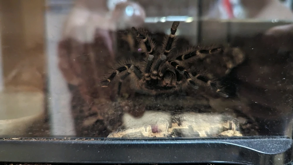 Bild hochgeladen von Sebi