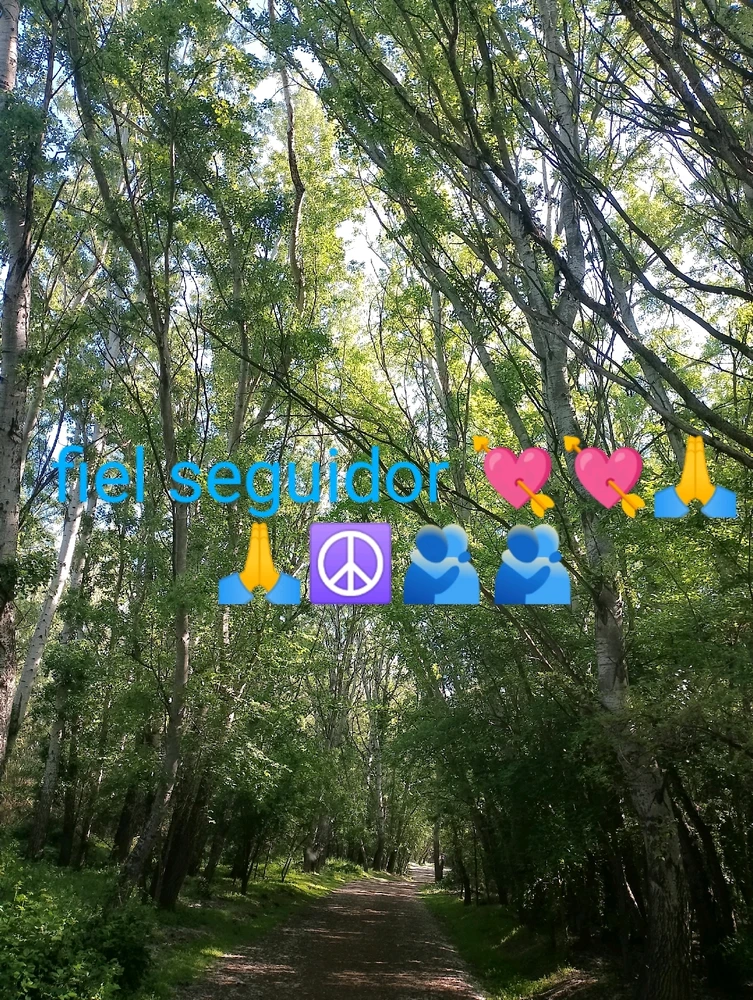 Imatge pujada per xavi