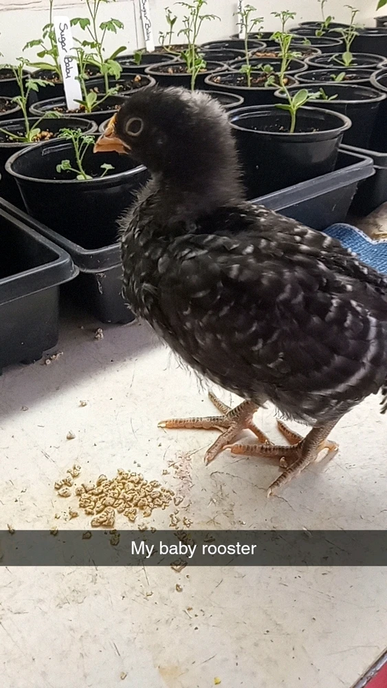 Image uploaded by Lily