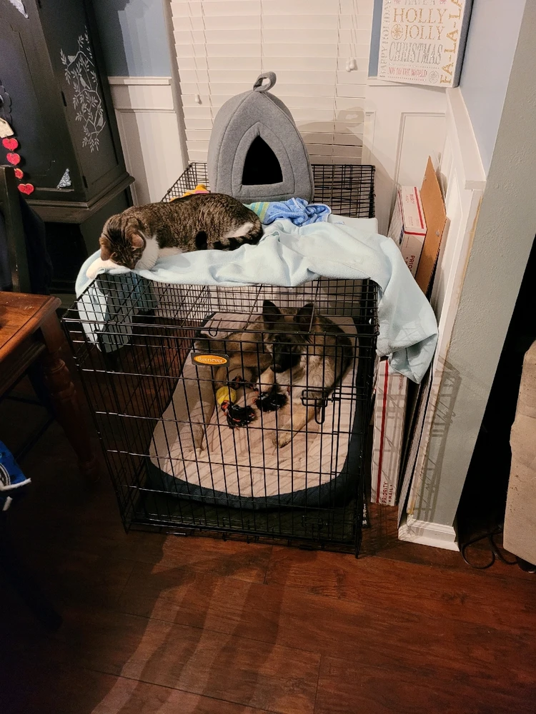 Image uploaded by Timothy