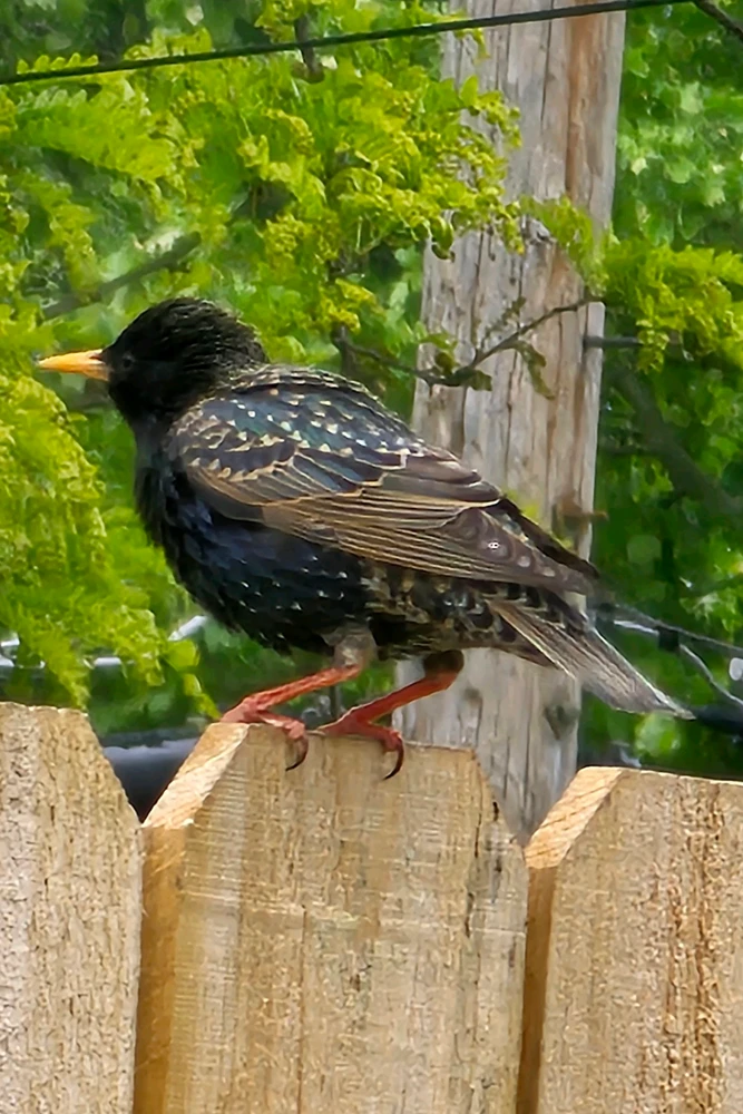 Image uploaded by Stefan