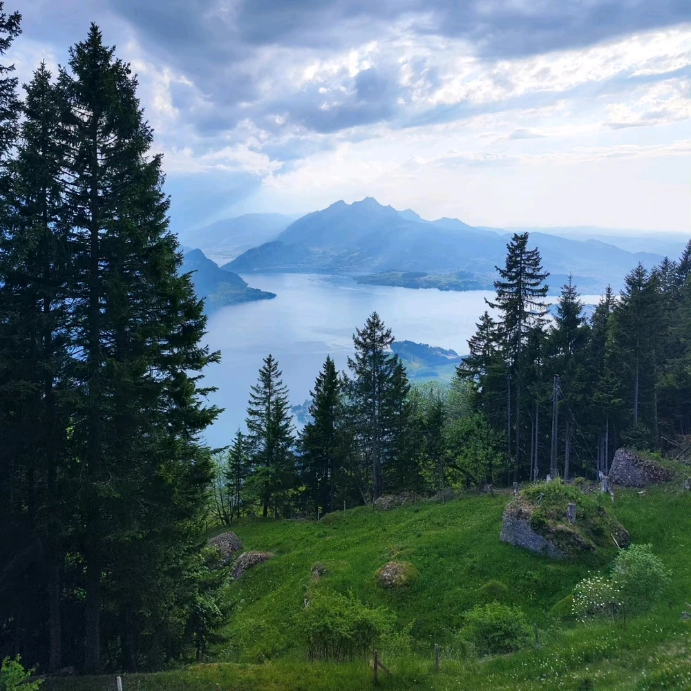 Image uploaded by Aleks