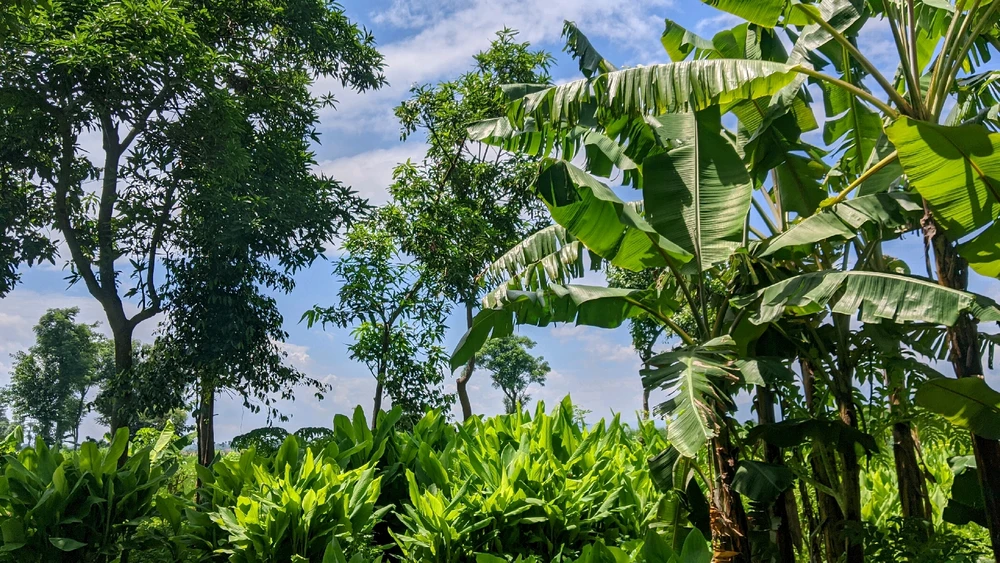 R님이 올린 사진