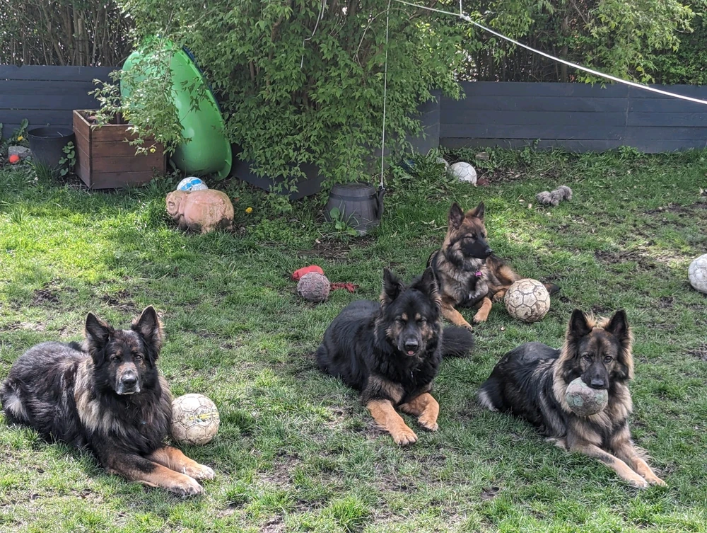 Billede uploadet af Maria