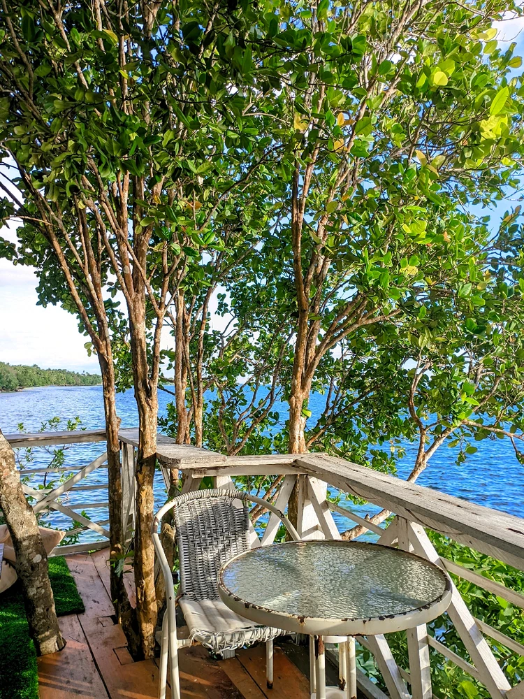 Gambar diunggah oleh renz