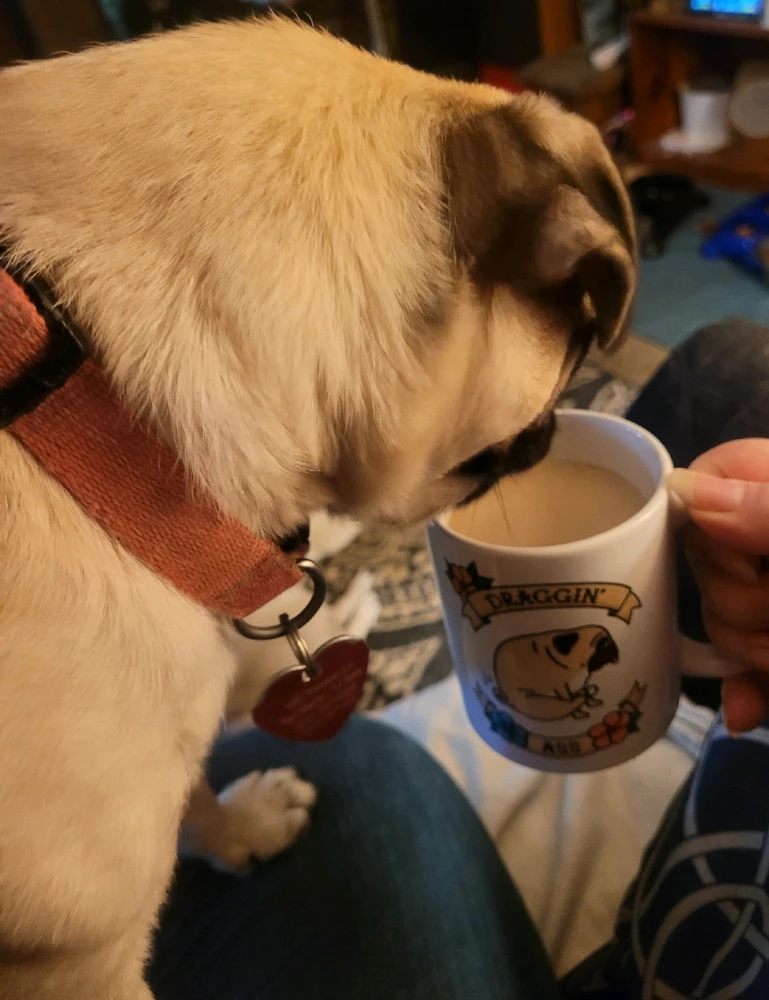 Image uploaded by Jessica