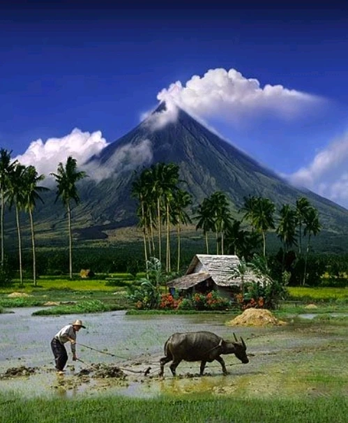 I-upload ni ⓛⓐⓘ ang larawan