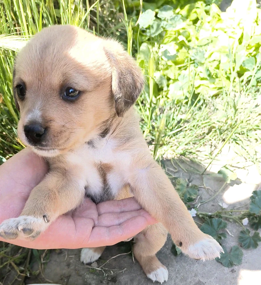 Imagine încărcată de Radovan Deian