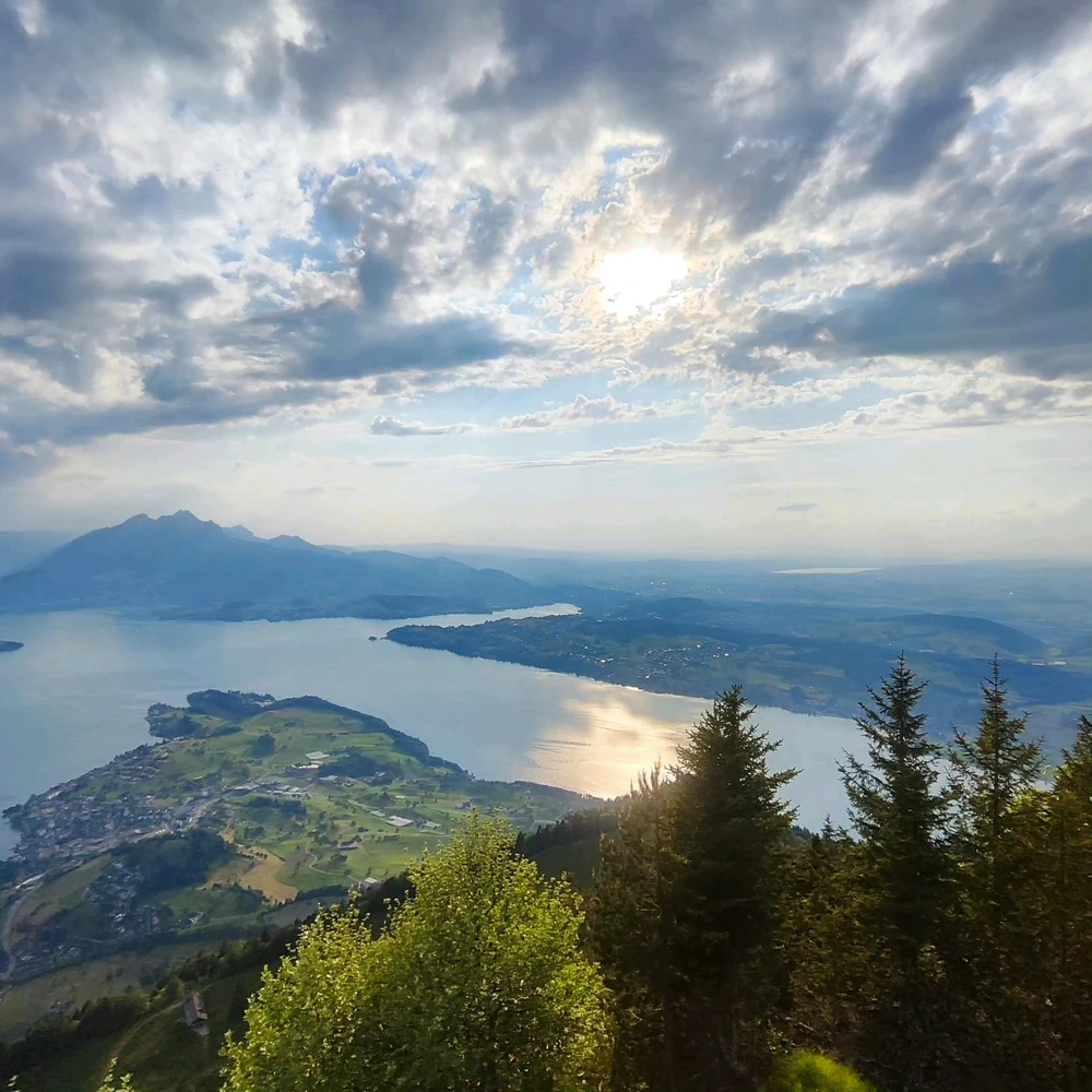 Image uploaded by Aleks