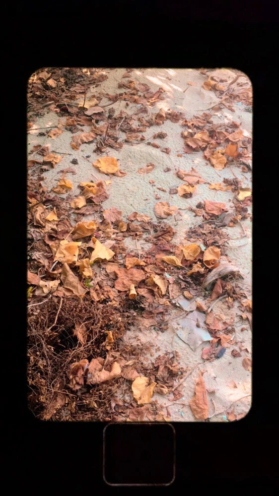 Ashen上傳的圖片