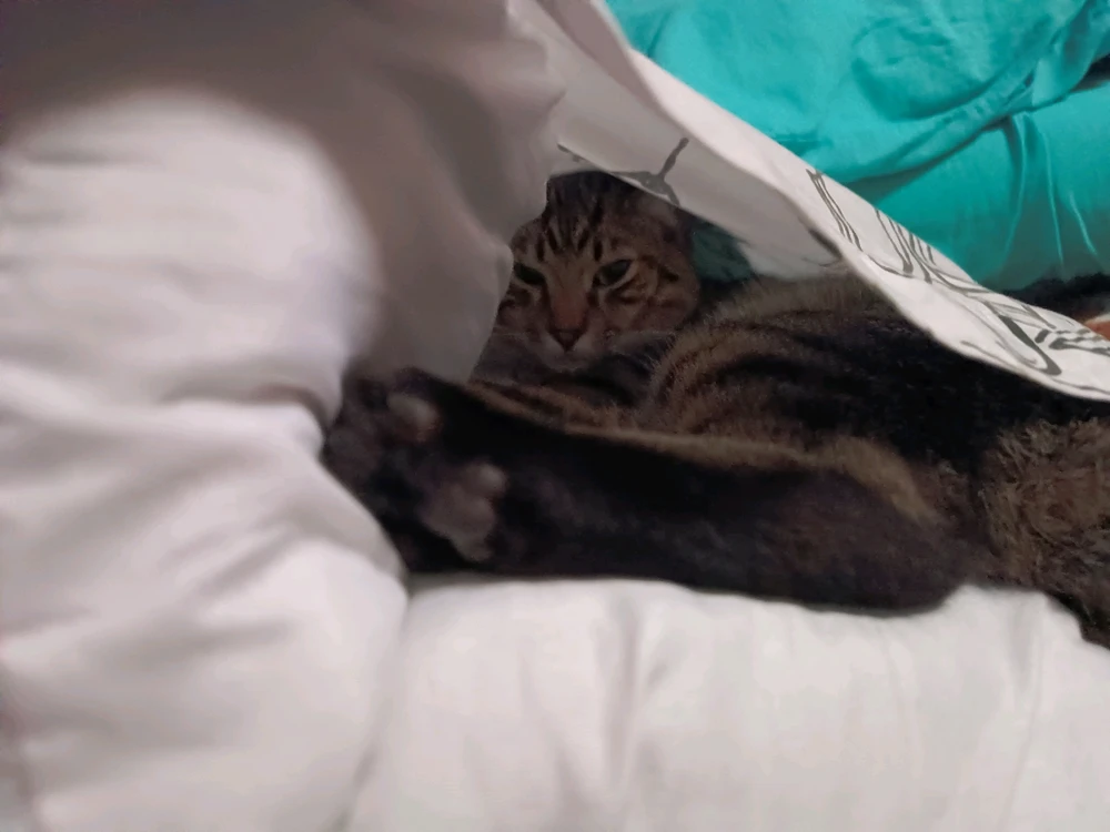 Imagen subida por Mariana