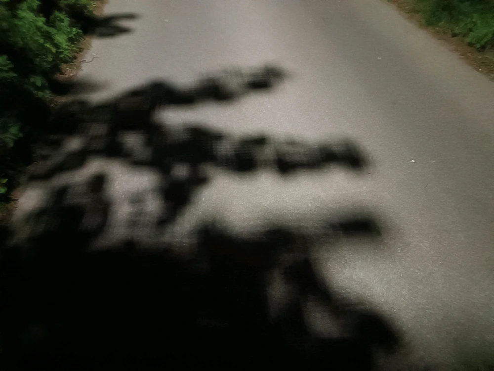 Obrázek nahrál Tomáš (Chlupčis)