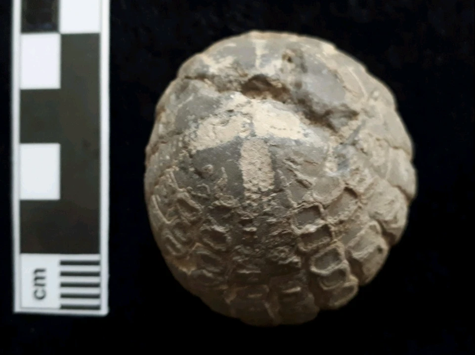 Bild hochgeladen von Herbert = ᚺᛖᚱᛒᛖᚱᛏ