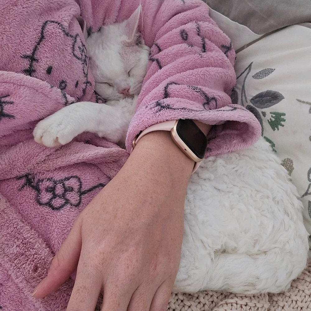 Bild hochgeladen von Stefanie