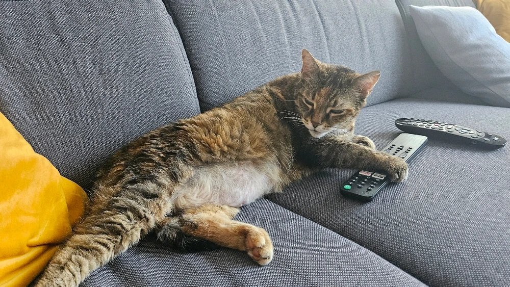 Bild hochgeladen von Pascal