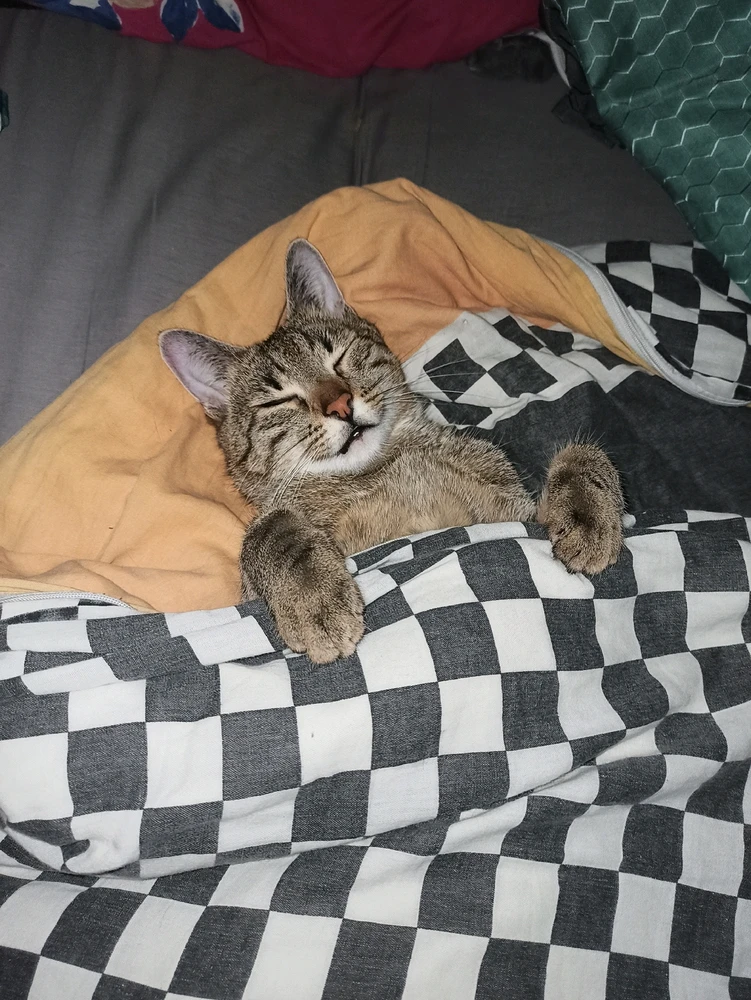 Zdjęcie dodane przez Patryk