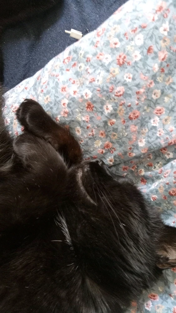 Bild hochgeladen von Semir