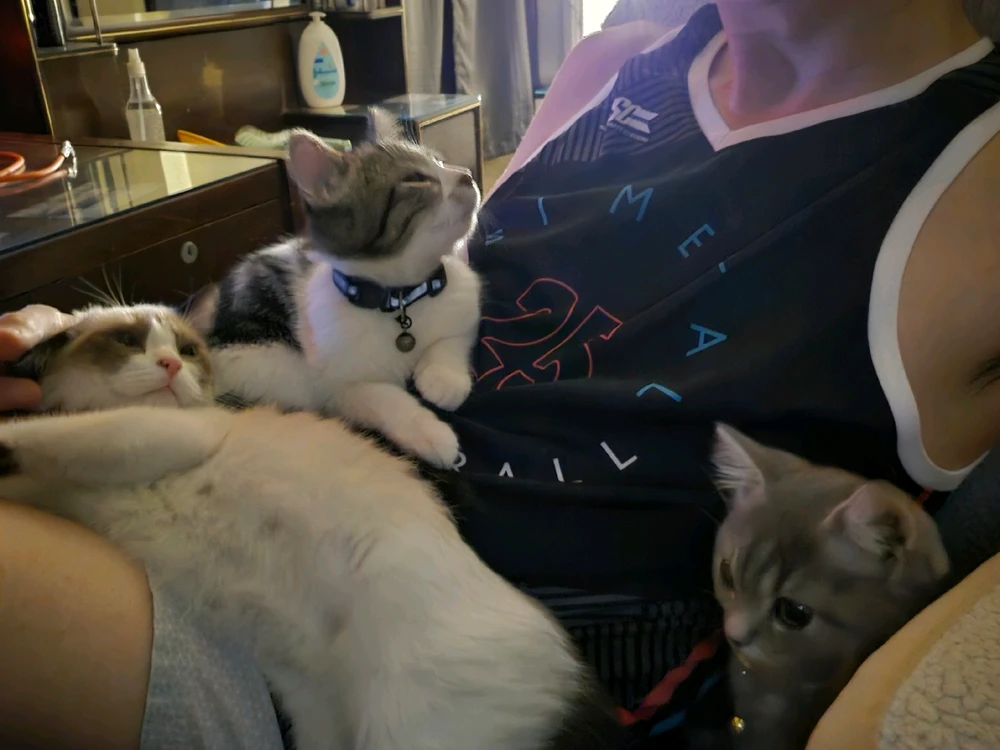 I-upload ni Aitor ang larawan