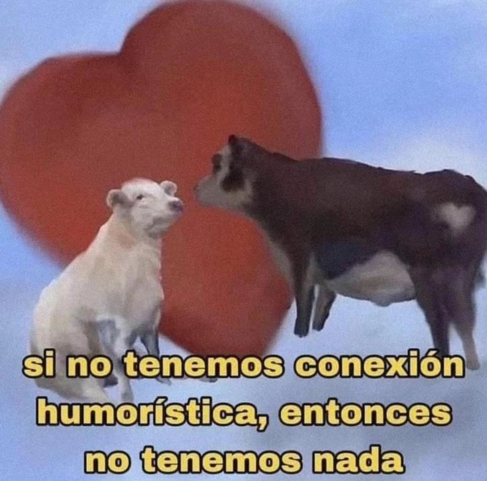 Alish님이 올린 사진